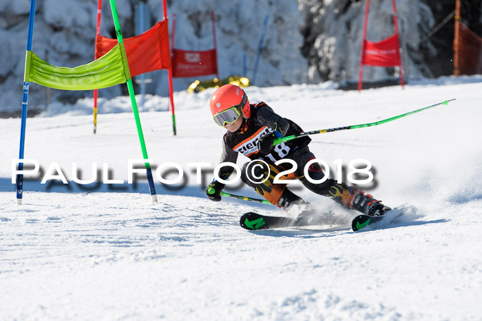 Ziener Cup WF, Finale, Quali + Parallelslalom, 24.03.2018
