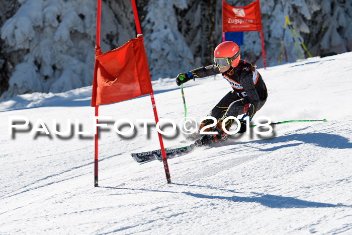 Ziener Cup WF, Finale, Quali + Parallelslalom, 24.03.2018