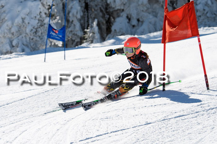 Ziener Cup WF, Finale, Quali + Parallelslalom, 24.03.2018