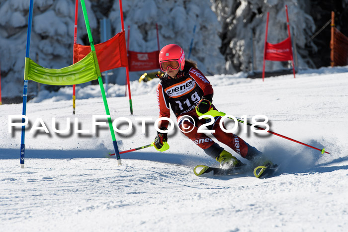 Ziener Cup WF, Finale, Quali + Parallelslalom, 24.03.2018