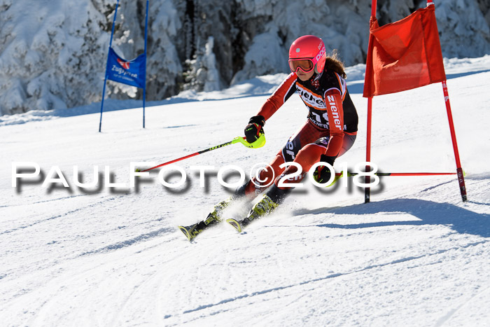 Ziener Cup WF, Finale, Quali + Parallelslalom, 24.03.2018
