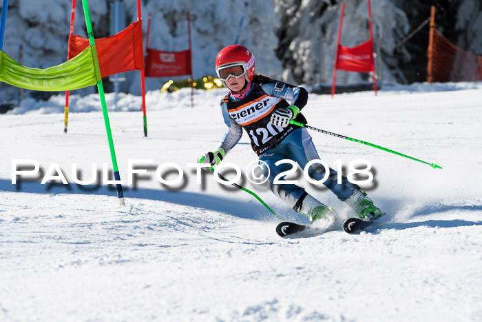 Ziener Cup WF, Finale, Quali + Parallelslalom, 24.03.2018