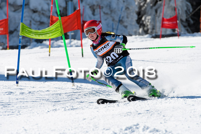 Ziener Cup WF, Finale, Quali + Parallelslalom, 24.03.2018