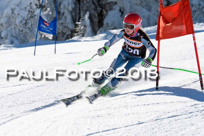 Ziener Cup WF, Finale, Quali + Parallelslalom, 24.03.2018