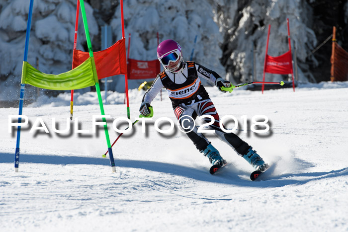 Ziener Cup WF, Finale, Quali + Parallelslalom, 24.03.2018