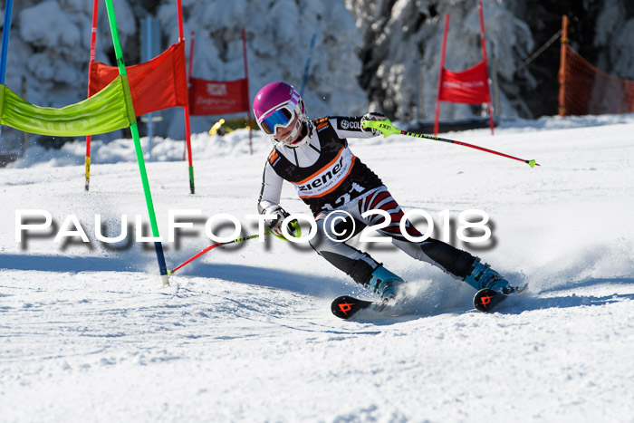 Ziener Cup WF, Finale, Quali + Parallelslalom, 24.03.2018