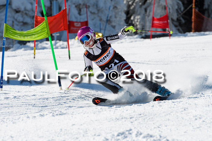 Ziener Cup WF, Finale, Quali + Parallelslalom, 24.03.2018