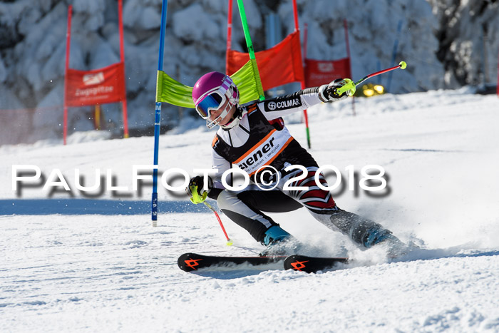 Ziener Cup WF, Finale, Quali + Parallelslalom, 24.03.2018