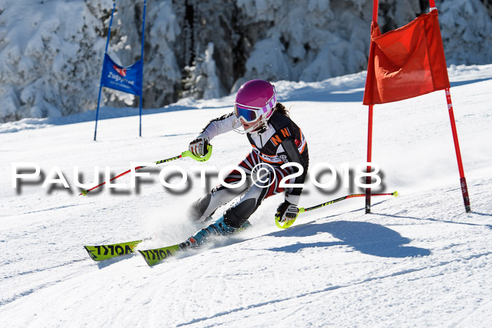 Ziener Cup WF, Finale, Quali + Parallelslalom, 24.03.2018