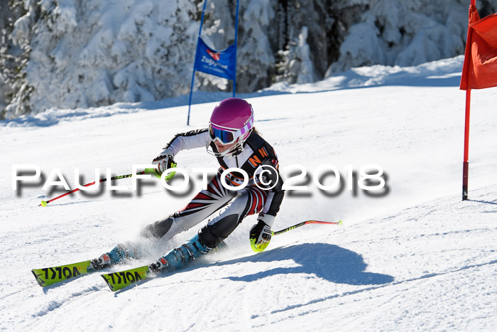 Ziener Cup WF, Finale, Quali + Parallelslalom, 24.03.2018
