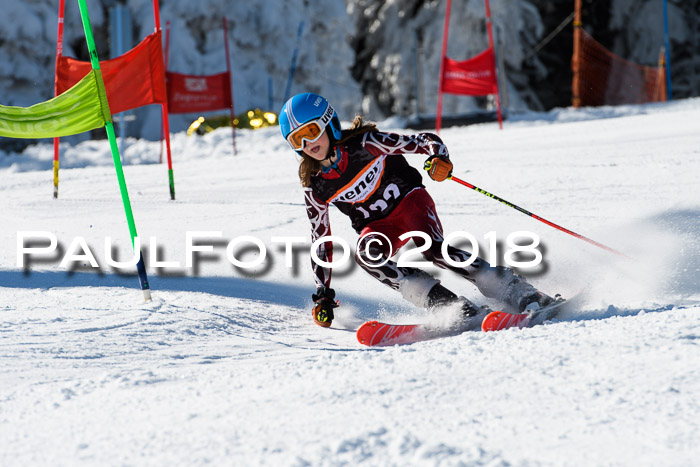 Ziener Cup WF, Finale, Quali + Parallelslalom, 24.03.2018