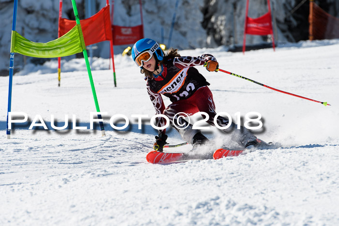 Ziener Cup WF, Finale, Quali + Parallelslalom, 24.03.2018