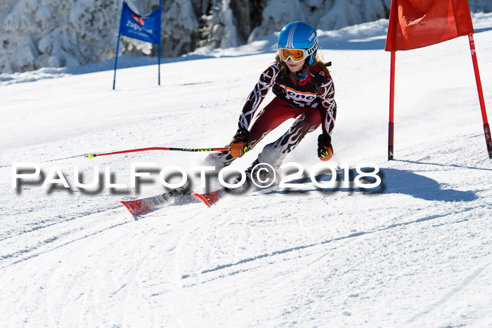 Ziener Cup WF, Finale, Quali + Parallelslalom, 24.03.2018