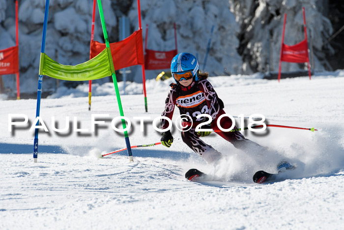 Ziener Cup WF, Finale, Quali + Parallelslalom, 24.03.2018