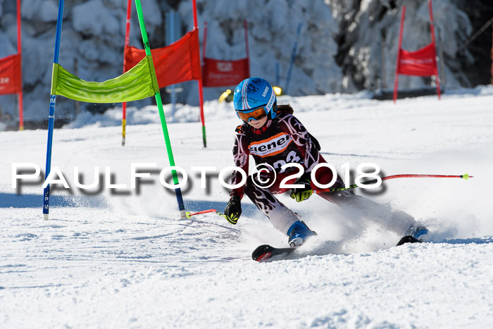 Ziener Cup WF, Finale, Quali + Parallelslalom, 24.03.2018