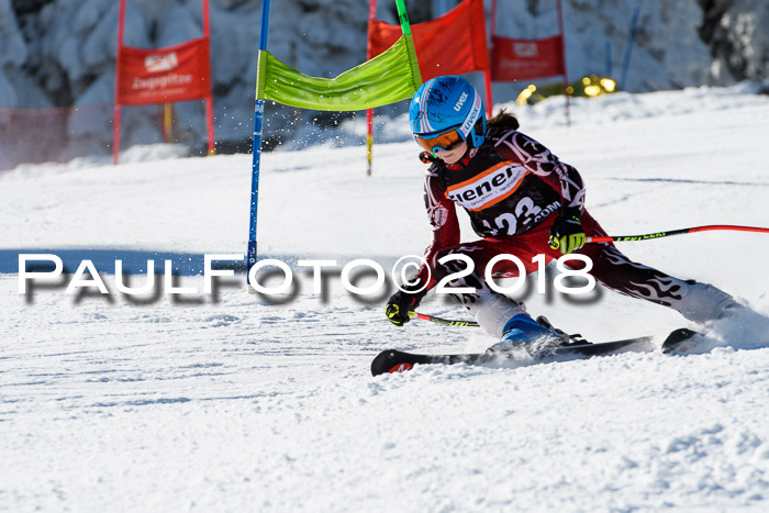 Ziener Cup WF, Finale, Quali + Parallelslalom, 24.03.2018