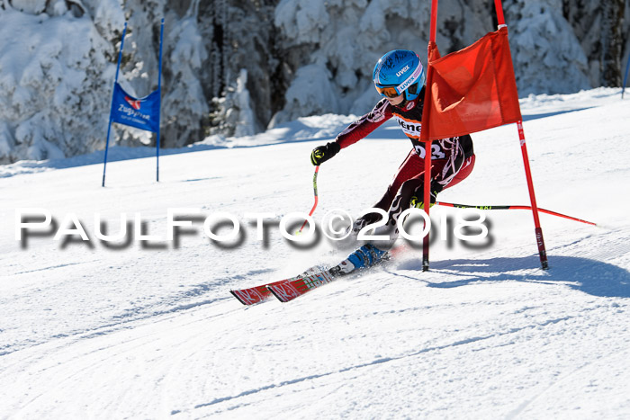 Ziener Cup WF, Finale, Quali + Parallelslalom, 24.03.2018