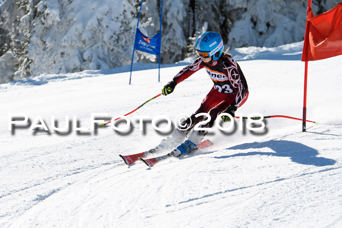 Ziener Cup WF, Finale, Quali + Parallelslalom, 24.03.2018