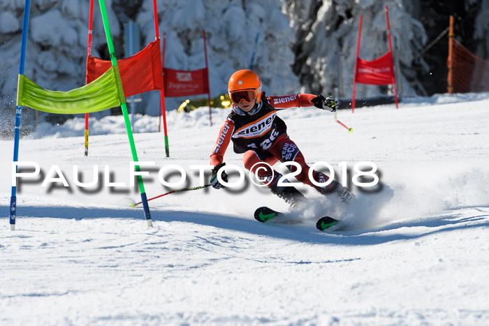 Ziener Cup WF, Finale, Quali + Parallelslalom, 24.03.2018