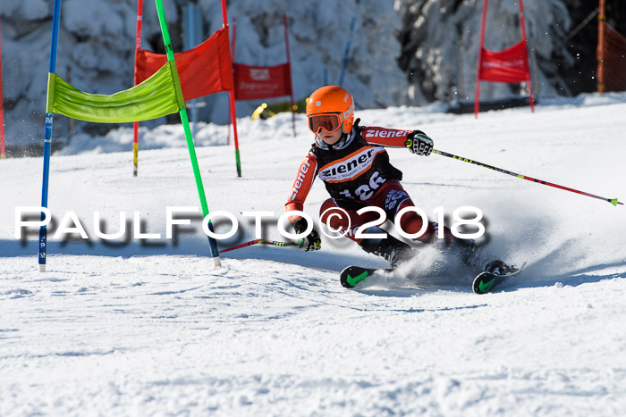 Ziener Cup WF, Finale, Quali + Parallelslalom, 24.03.2018