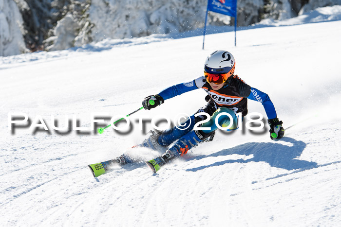 Ziener Cup WF, Finale, Quali + Parallelslalom, 24.03.2018