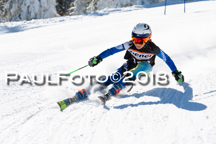Ziener Cup WF, Finale, Quali + Parallelslalom, 24.03.2018