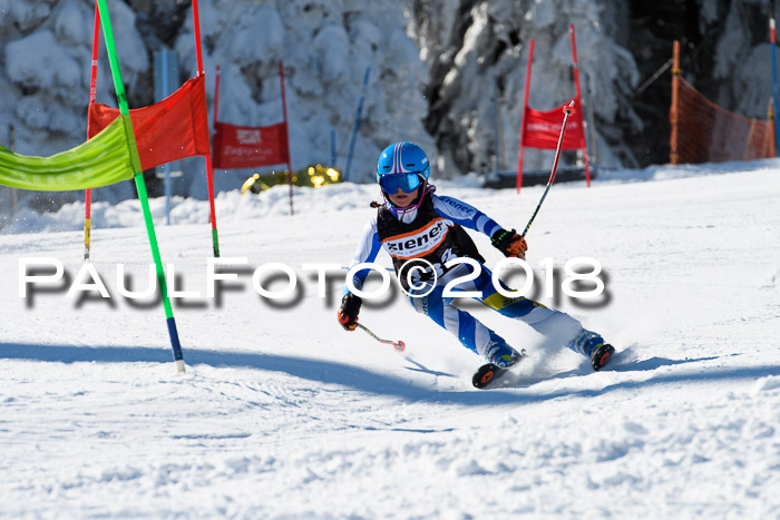 Ziener Cup WF, Finale, Quali + Parallelslalom, 24.03.2018