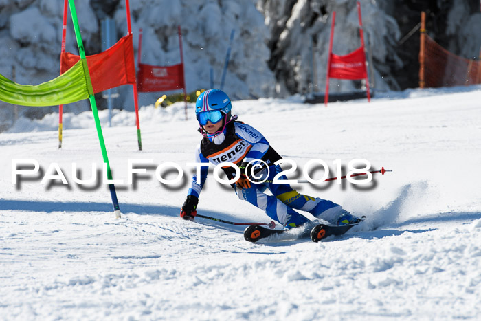 Ziener Cup WF, Finale, Quali + Parallelslalom, 24.03.2018