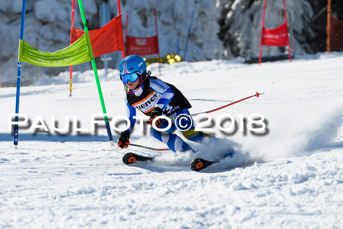Ziener Cup WF, Finale, Quali + Parallelslalom, 24.03.2018