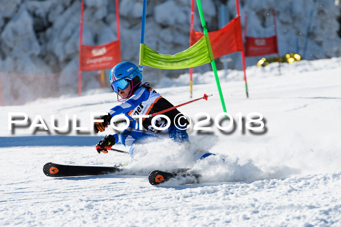 Ziener Cup WF, Finale, Quali + Parallelslalom, 24.03.2018