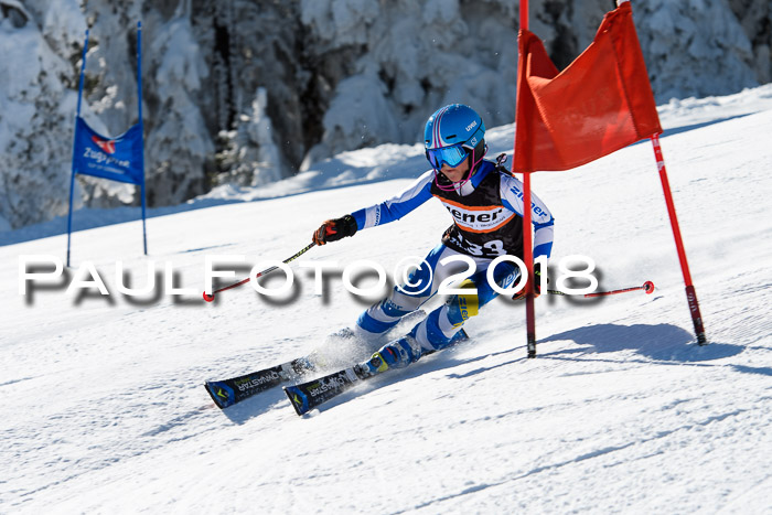 Ziener Cup WF, Finale, Quali + Parallelslalom, 24.03.2018