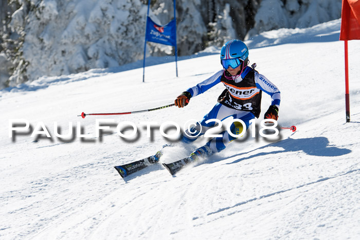 Ziener Cup WF, Finale, Quali + Parallelslalom, 24.03.2018