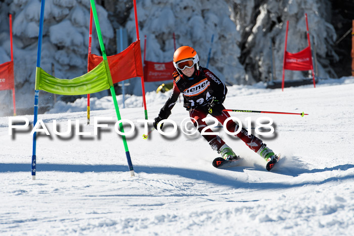 Ziener Cup WF, Finale, Quali + Parallelslalom, 24.03.2018