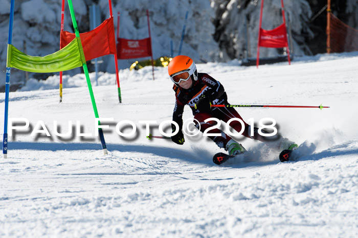 Ziener Cup WF, Finale, Quali + Parallelslalom, 24.03.2018