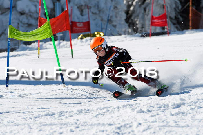 Ziener Cup WF, Finale, Quali + Parallelslalom, 24.03.2018