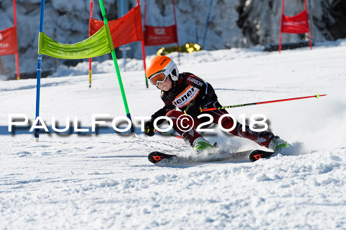 Ziener Cup WF, Finale, Quali + Parallelslalom, 24.03.2018