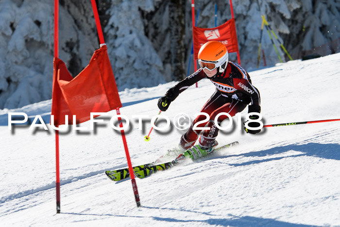 Ziener Cup WF, Finale, Quali + Parallelslalom, 24.03.2018