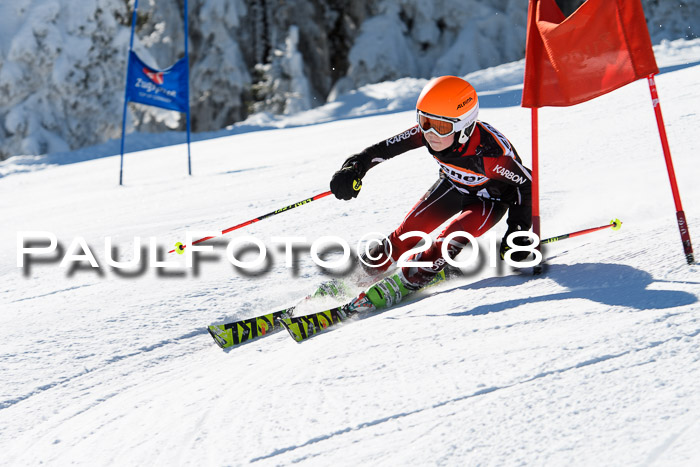 Ziener Cup WF, Finale, Quali + Parallelslalom, 24.03.2018
