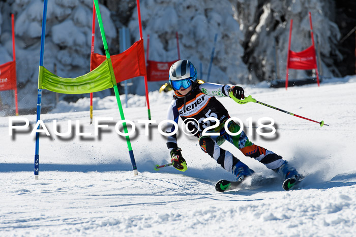 Ziener Cup WF, Finale, Quali + Parallelslalom, 24.03.2018