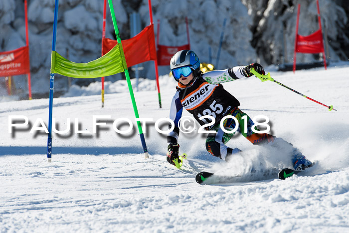 Ziener Cup WF, Finale, Quali + Parallelslalom, 24.03.2018