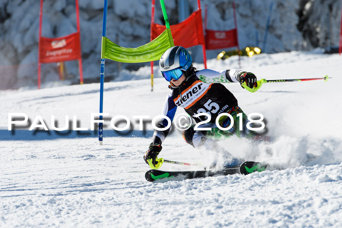 Ziener Cup WF, Finale, Quali + Parallelslalom, 24.03.2018