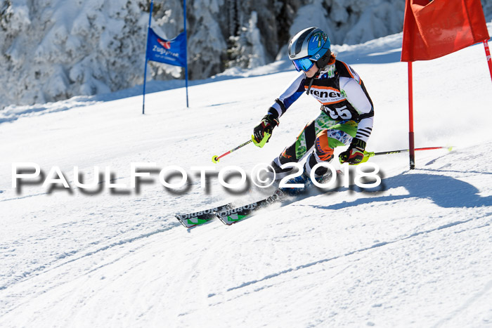 Ziener Cup WF, Finale, Quali + Parallelslalom, 24.03.2018