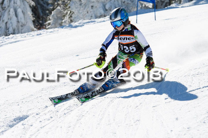 Ziener Cup WF, Finale, Quali + Parallelslalom, 24.03.2018