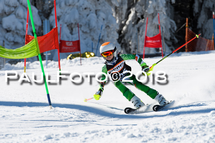 Ziener Cup WF, Finale, Quali + Parallelslalom, 24.03.2018