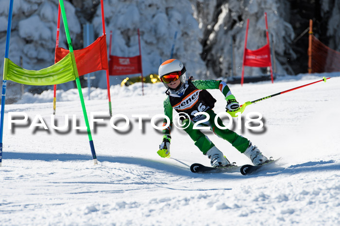 Ziener Cup WF, Finale, Quali + Parallelslalom, 24.03.2018