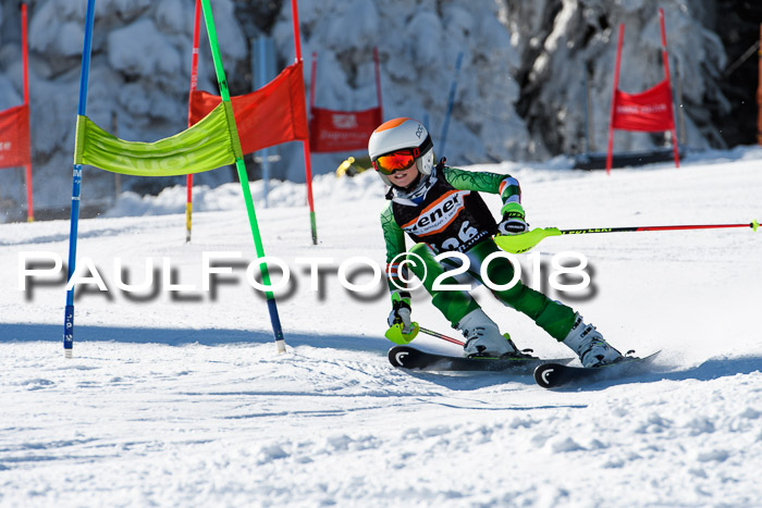 Ziener Cup WF, Finale, Quali + Parallelslalom, 24.03.2018