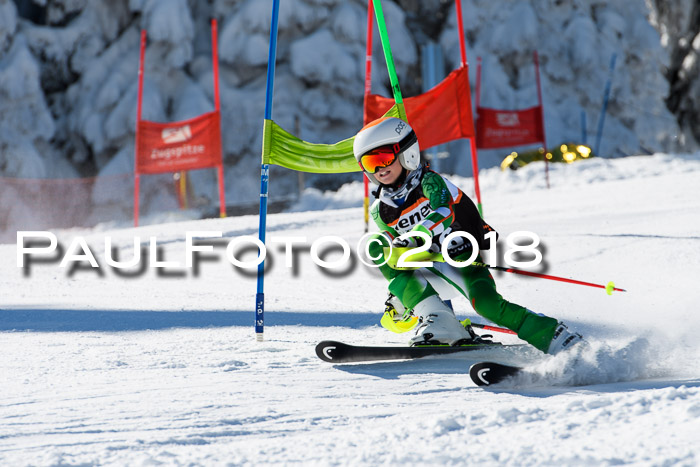 Ziener Cup WF, Finale, Quali + Parallelslalom, 24.03.2018