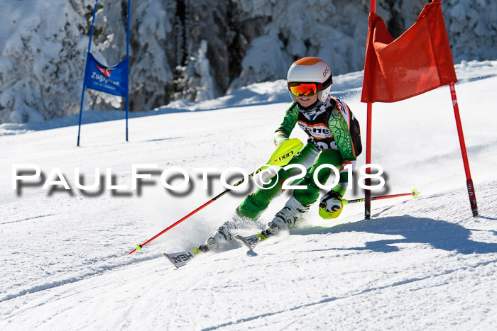 Ziener Cup WF, Finale, Quali + Parallelslalom, 24.03.2018