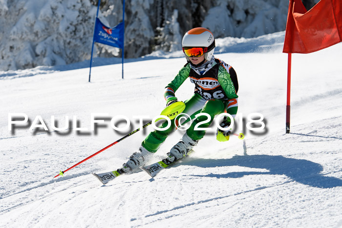 Ziener Cup WF, Finale, Quali + Parallelslalom, 24.03.2018