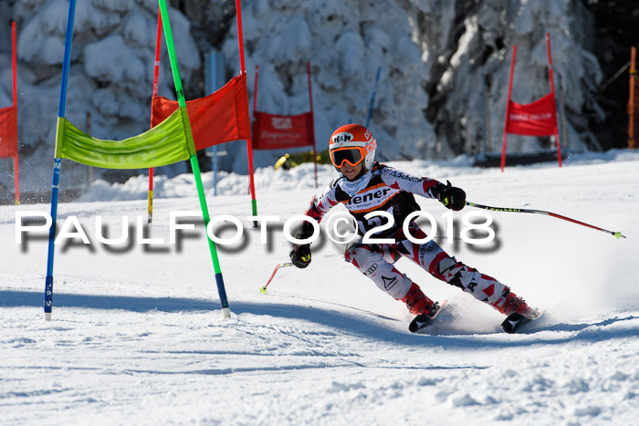Ziener Cup WF, Finale, Quali + Parallelslalom, 24.03.2018